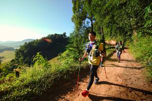 BIB: 
                            <button type="button" onclick="openModal(19185418)" class="btn btn-primary btn-sm float-right btn-popup" data-toggle="modal" data-target=".modal-high-quality">
                        <i class="fas fa-shopping-cart"></i> Add to Cart
                    </button>
                                            <button type="button" onclick="isThisMe(19185418, true)" class="btn btn-success btn-sm float-right btn-popup btn-isme hidden" data-toggle="tooltip" data-placement="bottom" title="นี่คือรูปของคุณใช่ไหม คลิกที่นี่เพื่อเอาเข้าอัลบั้ม">
                        <i class="fas fa-plus"></i> Add to album
                    </button>
                    <button type="button" onclick="isThisMe(19185418, false)" class="btn btn-warning btn-sm float-right btn-popup btn-isnotme hidden">
                        <i class="fas fa-ban"></i> Remove from album
                    </button>